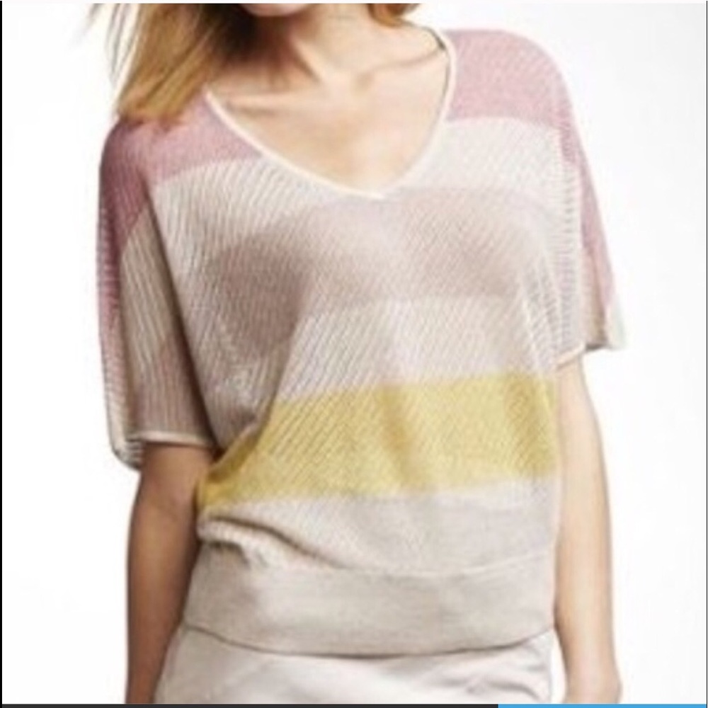 Express Metallic Pink Striped Sweater